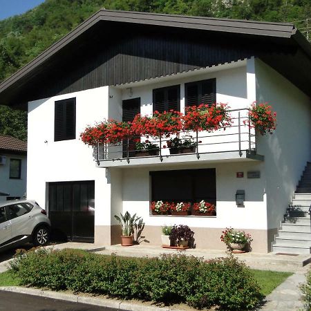 Apartma Jezero モスト ナ ソシ エクステリア 写真