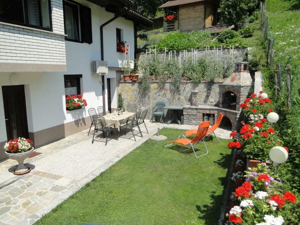 Apartma Jezero モスト ナ ソシ エクステリア 写真